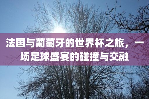 法国与葡萄牙的世界杯之旅,一场足球盛宴的碰黄冈市中杰窑炉设备有限公司撞与交融