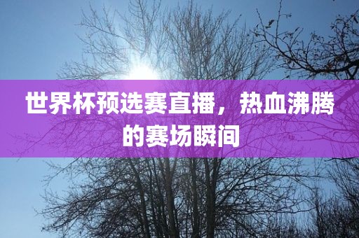 世界杯预选赛直播，热血沸腾的赛场瞬间黄冈市中杰窑炉设备有限公司