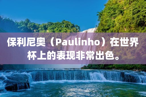 保利尼奥（Paulinho）在世界杯上的表现非常出色。黄冈市中杰窑炉设备有限公司