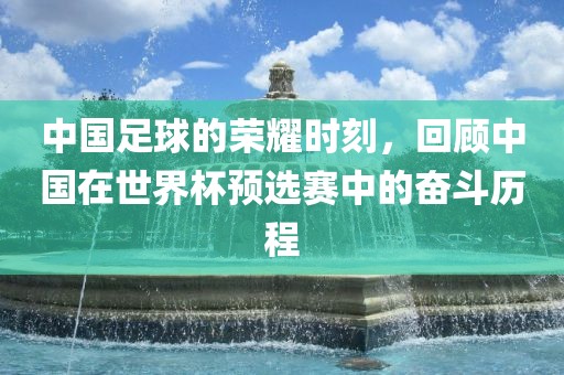 中国足球的荣耀时刻，回顾中国在世界杯预选赛中的奋斗历程