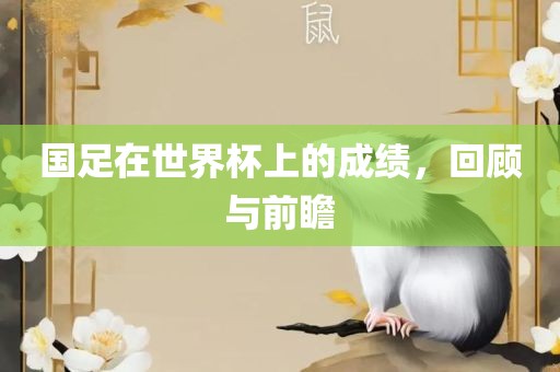 国足在世界杯上的成绩，回顾与前瞻