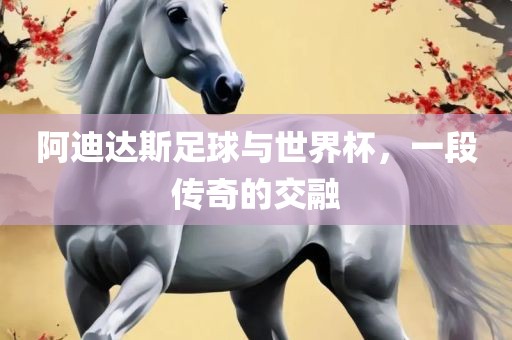 阿迪达斯足球与世黄冈市中杰窑炉设备有限公司界杯,一段传奇的交融