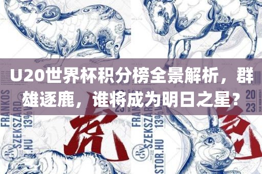 U20世界杯积分榜全景解析,群雄逐鹿,谁将成为明日之星?黄冈市中杰窑炉设备有限公司