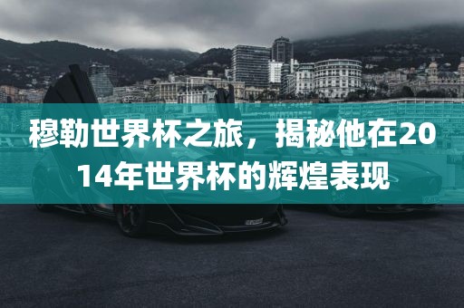 穆勒世界杯之旅，揭秘他在2014年世界杯的辉煌表现