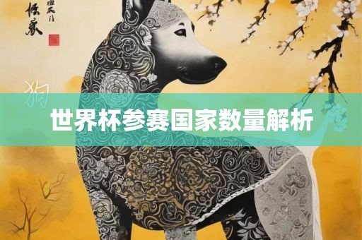 世界杯参赛国家数量解析黄冈市中杰窑炉设备有限公司