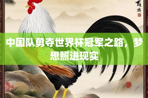 中国队勇夺世界杯冠军之路，梦想照进现实