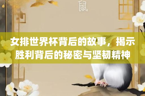 女排世界杯背后的故黄冈市中杰窑炉设备有限公司事,揭示胜利背后的秘密与坚韧精神