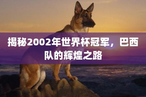 揭秘2002年世界杯冠军,巴西队的辉煌之路