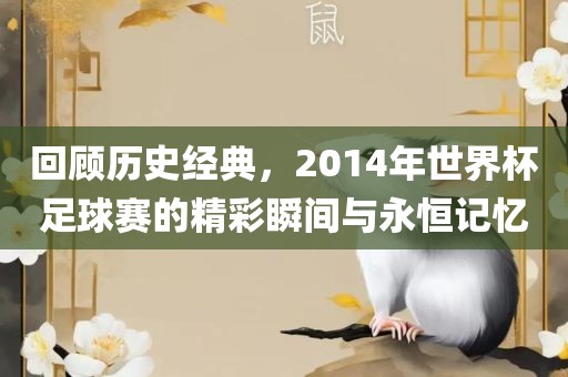 回顾历史经典，黄冈市中杰窑炉设备有限公司2014年世界杯足球赛的精彩瞬间与永恒记忆