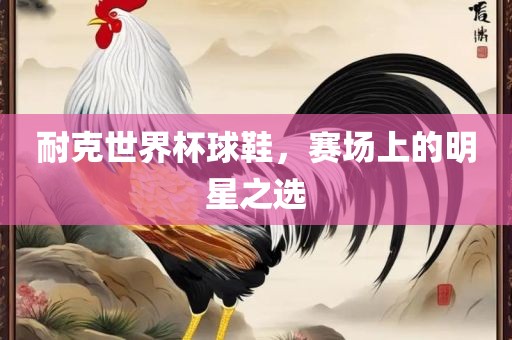 耐克世界杯球鞋,赛场上的明星之选黄冈市中杰窑炉设备有限公司