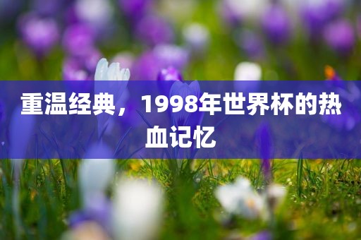 重温经典，1998年世界杯的热血记忆黄冈市中杰窑炉设备有限公司