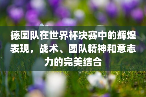 德国队在世界杯决赛中的辉煌表现，战术、团队精神和意志力的完美结合黄冈市中杰窑炉设备有限公司