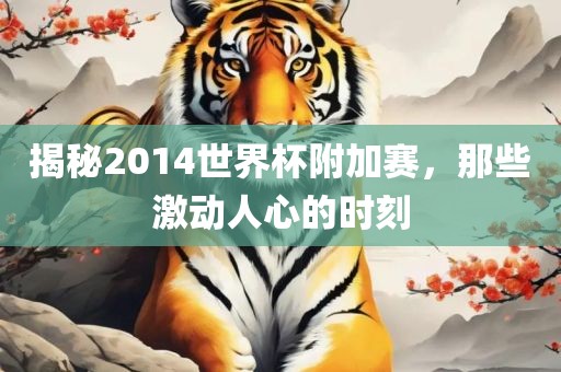 揭秘2014世界杯附加赛,那些激动人心的时刻