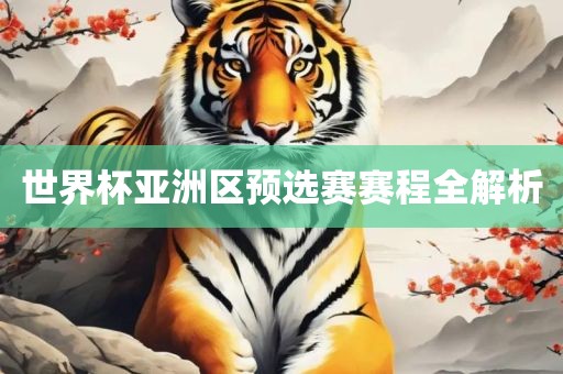 世界杯亚洲区预选赛赛程全解析