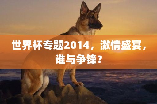 世界杯专题2014,激情盛宴,谁与争锋?黄冈市中杰窑炉设备有限公司