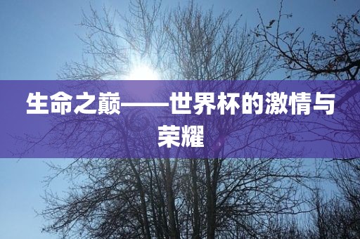 生命之巅——世黄冈市中杰窑炉设备有限公司界杯的激情与荣耀
