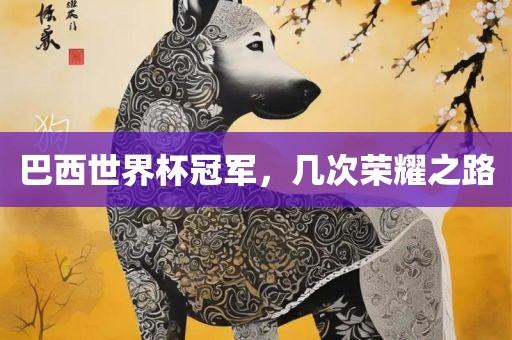 巴西世界杯冠军，几次荣耀之路黄冈市中杰窑炉设备有限公司