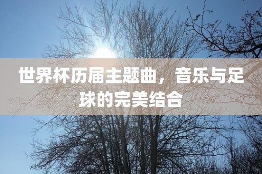 世界杯历届主题曲,音乐与足球的完美结合