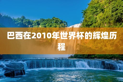 巴西在2010年世界杯的辉煌历程黄冈市中杰窑炉设备有限公司