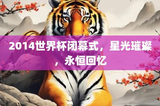 2014世界杯闭幕式,星光璀璨,永恒回忆黄冈市中杰窑炉设备有限公司