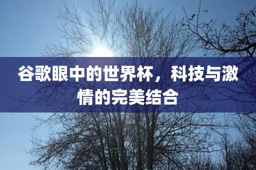 谷歌眼中的世界杯，科技与激情的完美结合黄冈市中杰窑炉设备有限公司