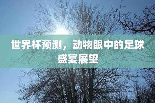 世界杯预测,动物眼中的足球盛宴展望