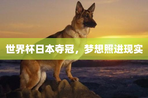 世界杯日本夺冠，梦想照进现实