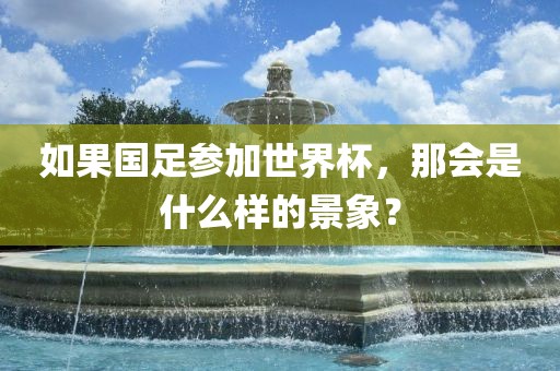 如果国足参加世界杯,那会是什么样的景象?黄冈市中杰窑炉设备有限公司