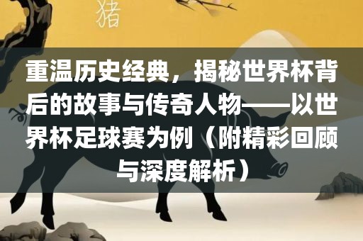 重温历史经典，揭秘世界杯背后的故事与传奇人物——以世界杯足球赛为例（附精彩回顾与深度解析）黄冈市中杰窑炉设备有限公司