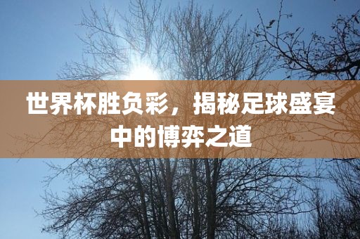世界杯胜负彩，揭秘足球盛宴中的博弈之道黄冈市中杰窑炉设备有限公司