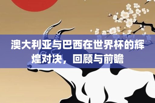 澳大利亚与巴西在世界杯的辉煌对决,回黄冈市中杰窑炉设备有限公司顾与前瞻