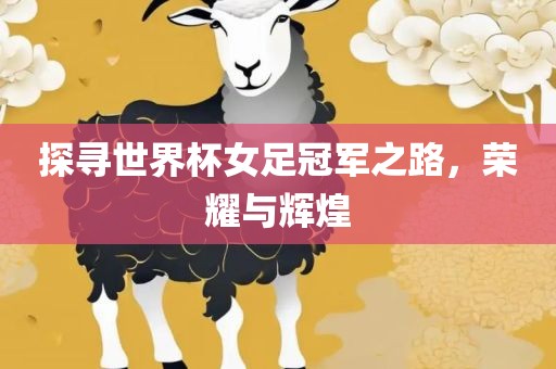 探寻世界杯女足冠军之路,荣耀与辉煌