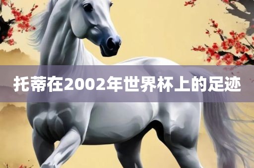 托蒂在2002年世界杯上的黄冈市中杰窑炉设备有限公司足迹