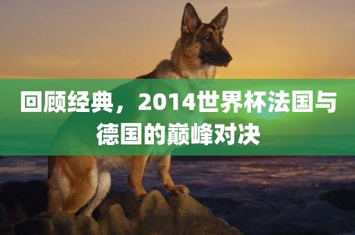 黄冈市中杰窑炉设备有限公司回顾经典，2014世界杯法国与德国的巅峰对决