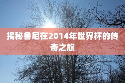 揭秘鲁尼在2014年世界杯的传奇之旅