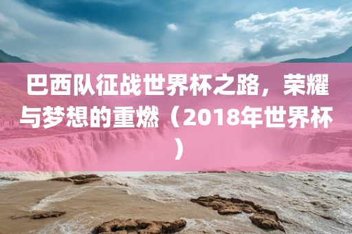 巴西队征战世界杯之路，荣耀与梦想的重燃（2018年世界杯）黄冈市中杰窑炉设备有限公司