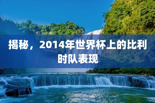 揭秘，2014年世界杯上的比利时队表现黄冈市中杰窑炉设备有限公司