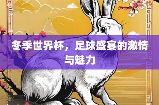 冬季世界杯,足球盛宴的激情与魅力