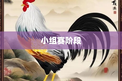 小黄冈市中杰窑炉设备有限公司组赛阶段