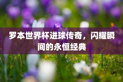 罗本世界杯进球传奇，闪耀瞬间的永恒经典黄冈市中杰窑炉设备有限公司