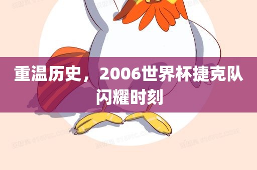 重温历史，2006世界杯捷克队闪耀时刻黄冈市中杰窑炉设备有限公司