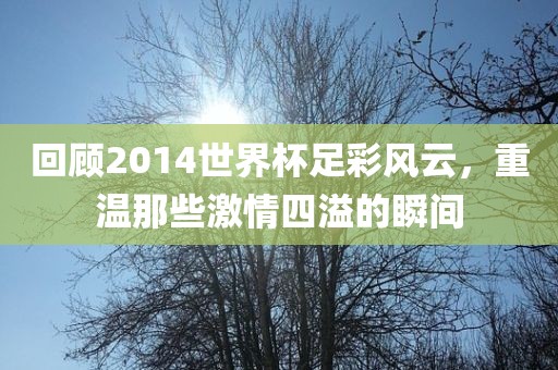 回顾2014世界杯足彩风云，重温那些激情四溢的瞬间黄冈市中杰窑炉设备有限公司