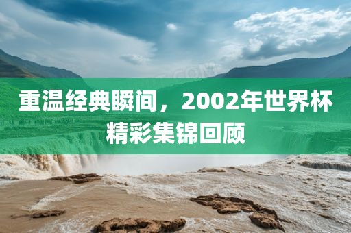 重温经典瞬间，2002年黄冈市中杰窑炉设备有限公司世界杯精彩集锦回顾