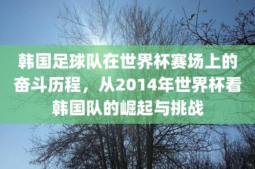 韩国足球队在世界杯赛场上的奋斗历程，从2014年世界杯看韩国队的崛起与挑战黄冈市中杰窑炉设备有限公司