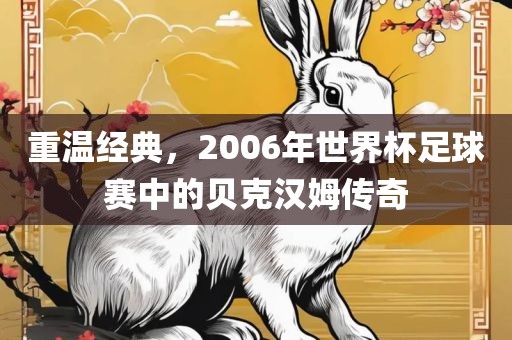 重温经典,2006年世界杯足球赛中的贝克汉姆传奇黄冈市中杰窑炉设备有限公司