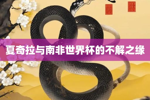 夏奇拉与南非世界杯的不解之缘