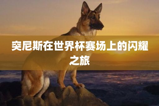 突尼斯在世界杯赛场上的闪耀之旅