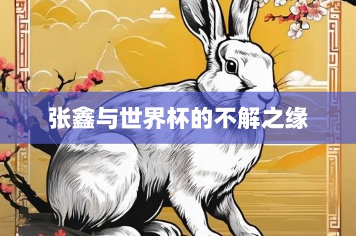 张鑫与世界杯的不解之缘