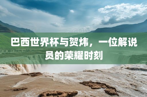 巴西世界杯与贺炜,一位解说员的荣耀时刻黄冈市中杰窑炉设备有限公司
