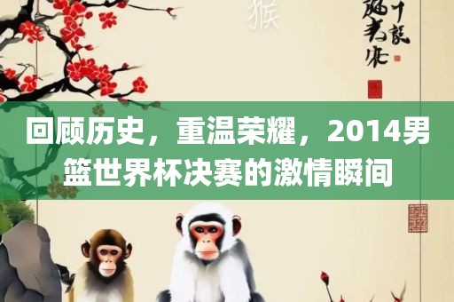 回顾历史,重温荣耀,2014男篮世界杯决赛的激情瞬间